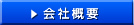 ЊTv